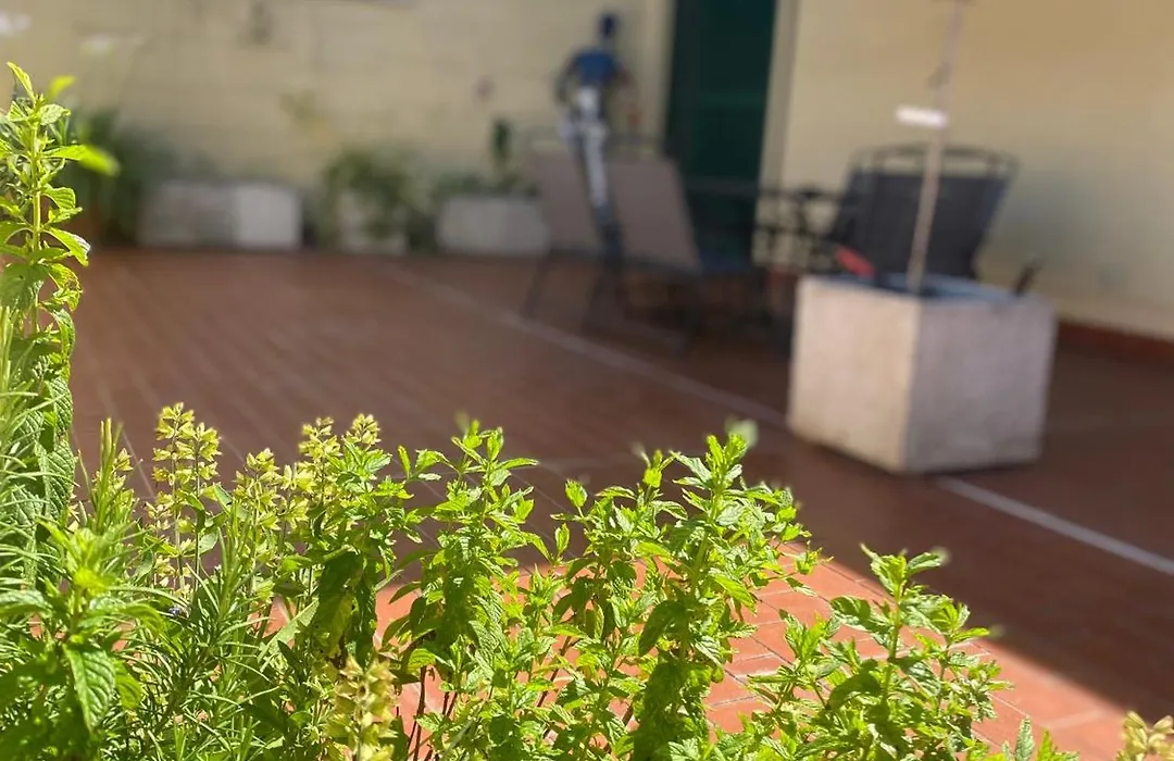Terrazza Flaminia-1